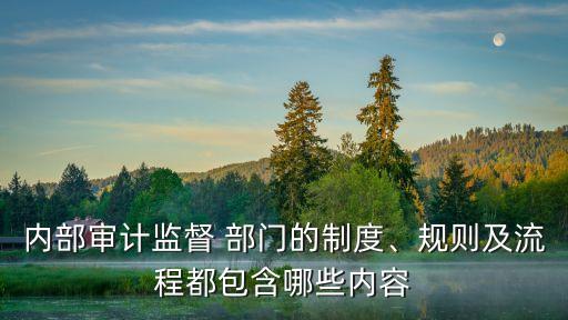 內(nèi)部審計(jì)監(jiān)督 部門的制度、規(guī)則及流程都包含哪些內(nèi)容