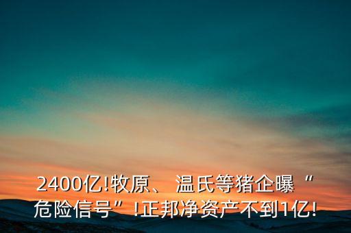 2400億!牧原、 溫氏等豬企曝“危險(xiǎn)信號(hào)”!正邦凈資產(chǎn)不到1億!