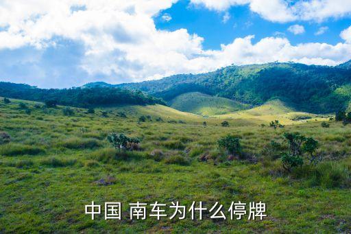中國(guó) 南車為什么停牌