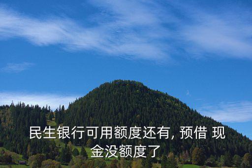  民生銀行可用額度還有, 預借 現金沒額度了