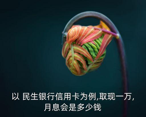 以 民生銀行信用卡為例,取現一萬,月息會是多少錢