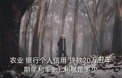 農(nóng)業(yè) 銀行個(gè)人信用 貸款20萬五年期年利率5.1 利息是多少
