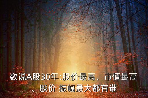 數(shù)說A股30年:股價(jià)最高、市值最高、股價(jià) 振幅最大都有誰