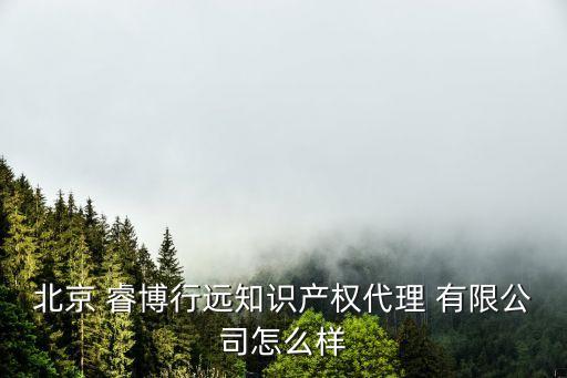 北京 睿博行遠知識產權代理 有限公司怎么樣