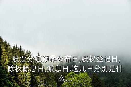 權息的股票有哪些,文化板權有哪些股票