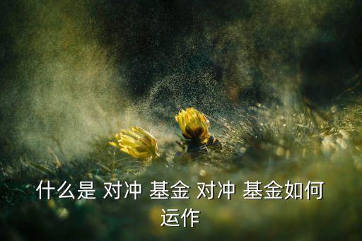 什么是 對沖 基金 對沖 基金如何運(yùn)作