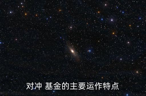 對沖 基金的主要運(yùn)作特點(diǎn)