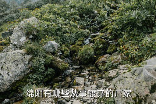 綿陽虹潤(rùn)電子有限公司,綿陽洪光植物油脂有限公司