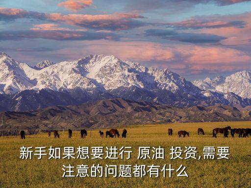 新手如果想要進(jìn)行 原油 投資,需要注意的問(wèn)題都有什么