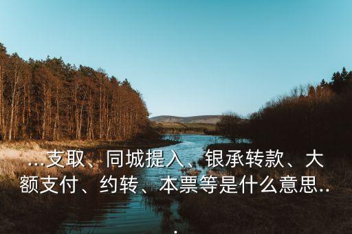 ...支取、同城提入、銀承轉(zhuǎn)款、大額支付、約轉(zhuǎn)、本票等是什么意思...