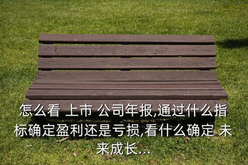 怎么看 上市 公司年報,通過什么指標確定盈利還是虧損,看什么確定 未來成長...