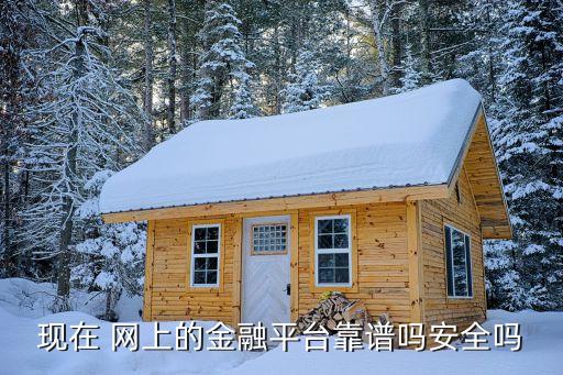 現在 網上的金融平臺靠譜嗎安全嗎