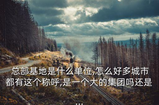 上?？偛拷?jīng)濟促進中心,四川省經(jīng)濟促進中心蘇虎彪