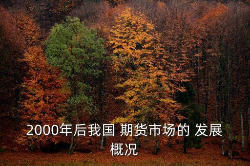 2000年后我國 期貨市場(chǎng)的 發(fā)展概況