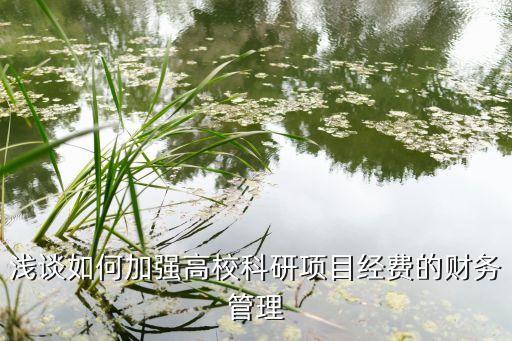 淺談如何加強(qiáng)高?？蒲许?xiàng)目經(jīng)費(fèi)的財(cái)務(wù)管理
