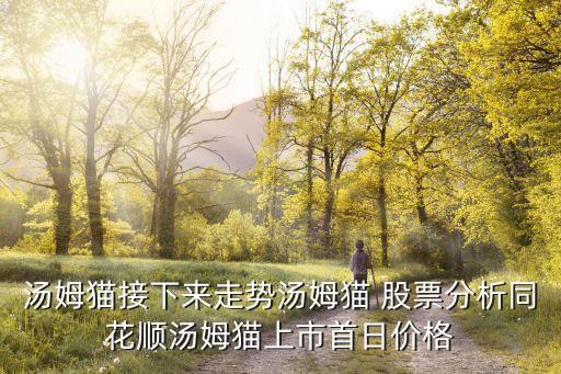 湯姆貓接下來(lái)走勢(shì)湯姆貓 股票分析同花順湯姆貓上市首日價(jià)格