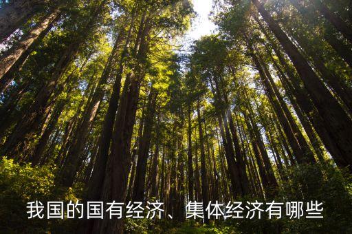 我國的國有經(jīng)濟、集體經(jīng)濟有哪些