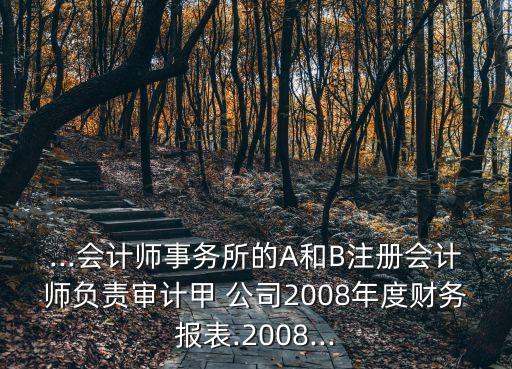 ...會計師事務(wù)所的A和B注冊會計師負責審計甲 公司2008年度財務(wù)報表.2008...