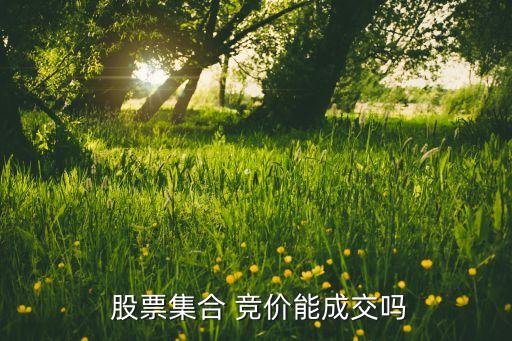  股票集合 競(jìng)價(jià)能成交嗎