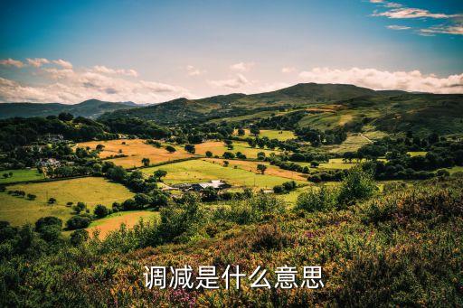  調減是什么意思