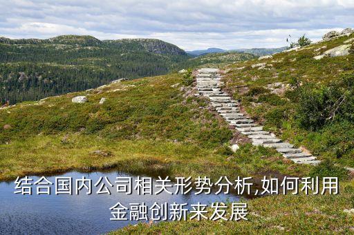 結(jié)合國內(nèi)公司相關(guān)形勢(shì)分析,如何利用 金融創(chuàng)新來發(fā)展
