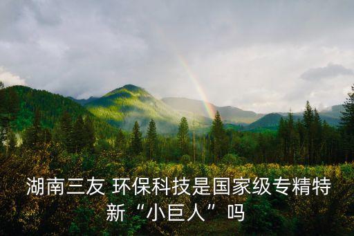  湖南三友 環(huán)?？萍际菄壹墝＞匦隆靶【奕恕眴? class=