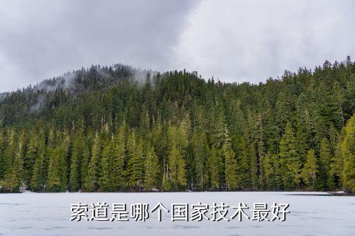  索道是哪個(gè)國家技術(shù)最好