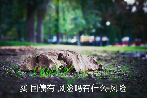 買(mǎi) 國(guó)債有 風(fēng)險(xiǎn)嗎有什么 風(fēng)險(xiǎn)