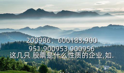 200986、600183,900951,900953,900956這幾只 股票是什么性質(zhì)的企業(yè),如...