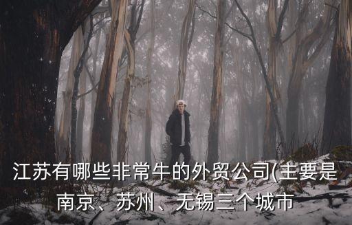 江蘇有哪些非常牛的外貿(mào)公司(主要是南京、蘇州、無錫三個(gè)城市