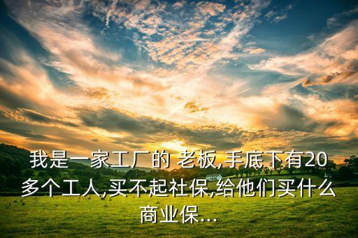 公司老板要什么保險(xiǎn),怎么查詢老板給自己買的什么保險(xiǎn)