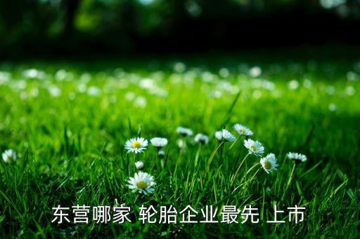 東營(yíng)哪家 輪胎企業(yè)最先 上市