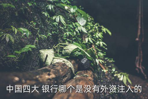 中國(guó)四大 銀行哪個(gè)是沒(méi)有外資注入的