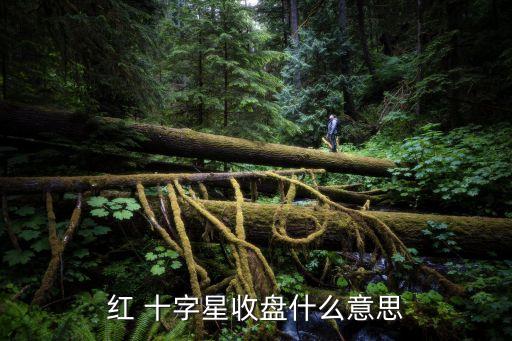 股票k線(xiàn)收十字星,K線(xiàn)中的十字星代表什么