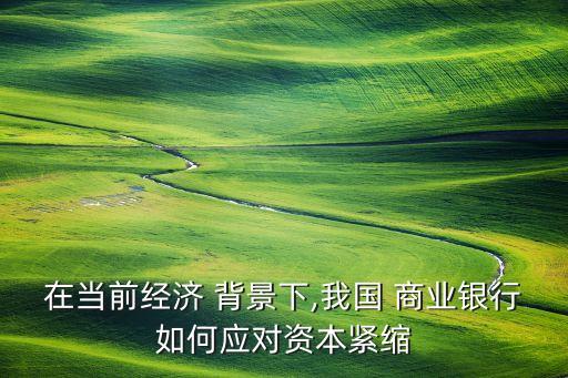 在當前經(jīng)濟 背景下,我國 商業(yè)銀行如何應對資本緊縮