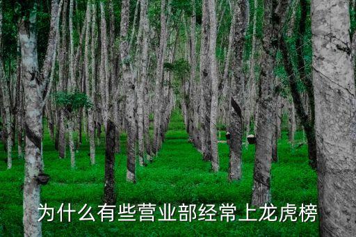 國(guó)信上海北京東路,上?？谇会t(yī)院北京東路電話(huà)