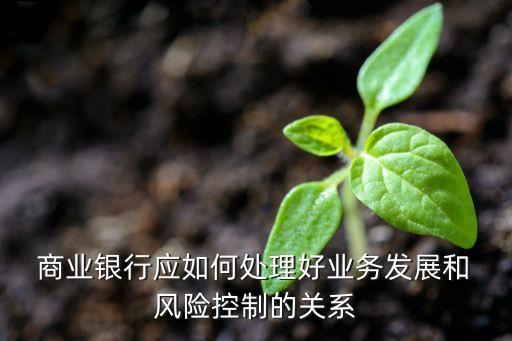 商業(yè)銀行風險管理與降準背景下的應對策略