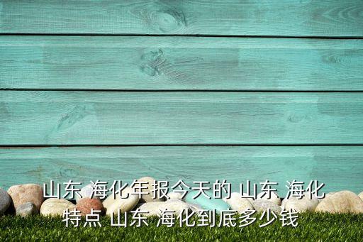 山東?；煞萦邢薰句逅貜S,海王溴素集團股份有限公司