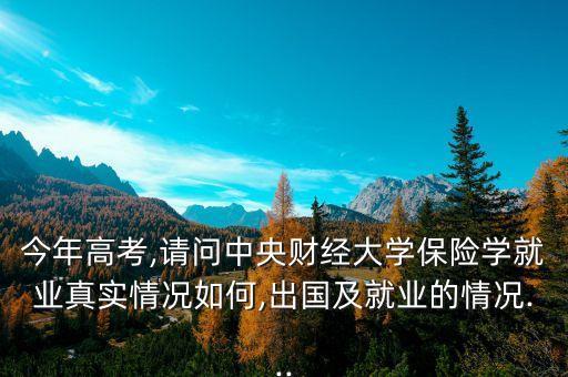 今年高考,請(qǐng)問(wèn)中央財(cái)經(jīng)大學(xué)保險(xiǎn)學(xué)就業(yè)真實(shí)情況如何,出國(guó)及就業(yè)的情況...