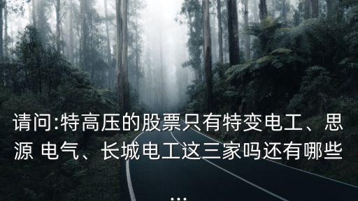 請(qǐng)問(wèn):特高壓的股票只有特變電工、思源 電氣、長(zhǎng)城電工這三家嗎還有哪些...