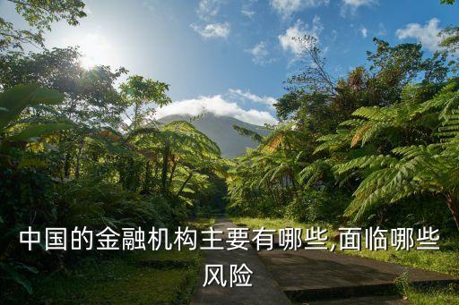 中國的金融機構(gòu)主要有哪些,面臨哪些風險