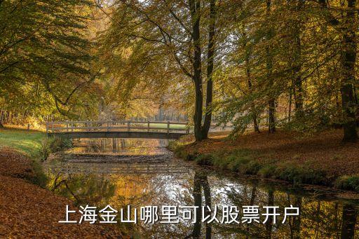 上海金山哪里可以股票開(kāi)戶(hù)