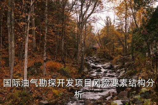 國際油氣勘探開發(fā)項(xiàng)目風(fēng)險要素結(jié)構(gòu)分析