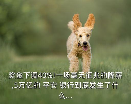 獎(jiǎng)金下調(diào)40%!一場(chǎng)毫無征兆的降薪,5萬億的 平安 銀行到底發(fā)生了什么...