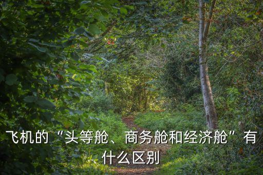 飛機(jī)的“頭等艙、商務(wù)艙和經(jīng)濟(jì)艙”有什么區(qū)別