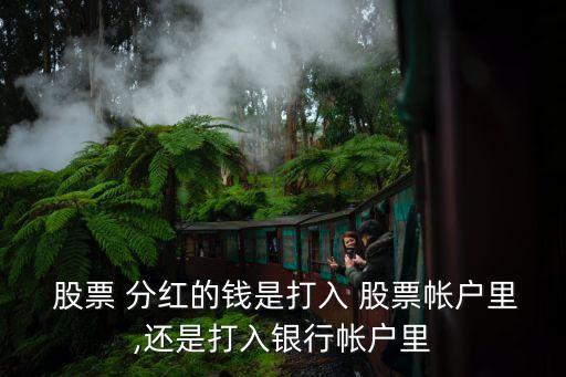  股票 分紅的錢(qián)是打入 股票帳戶(hù)里,還是打入銀行帳戶(hù)里