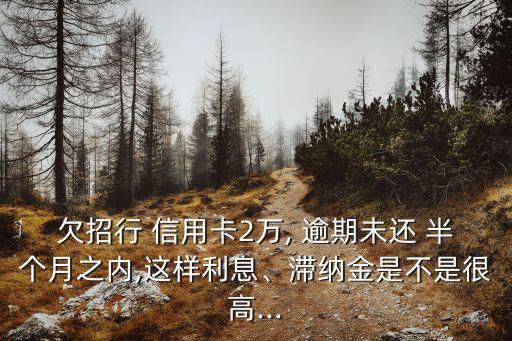 欠招行 信用卡2萬, 逾期未還 半個月之內(nèi),這樣利息、滯納金是不是很高...