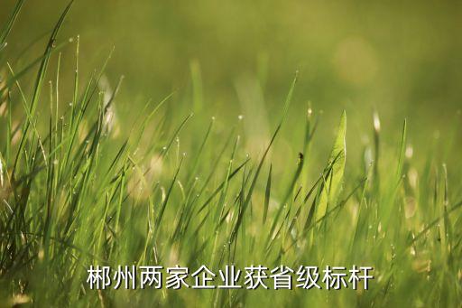 郴州兩家企業(yè)獲省級標桿