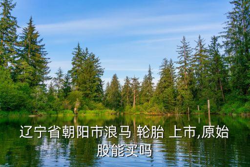 遼寧省朝陽(yáng)市浪馬 輪胎 上市,原始股能買嗎