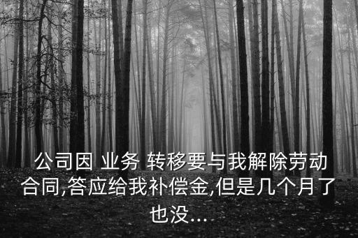  公司因 業(yè)務(wù) 轉(zhuǎn)移要與我解除勞動合同,答應(yīng)給我補(bǔ)償金,但是幾個月了也沒...
